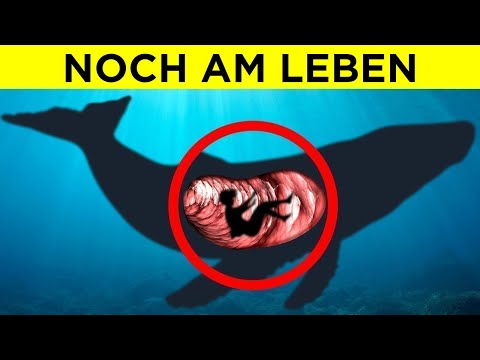 Unglaubliche Orte, An Denen Menschen Gefunden Wurden [Teil 2]