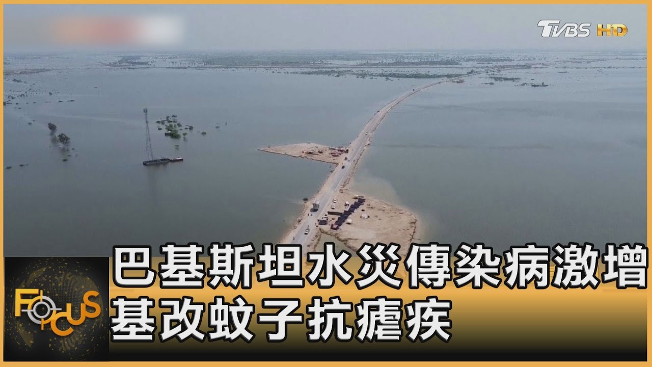 巴基斯坦水災傳染病激增 基改蚊子抗瘧疾