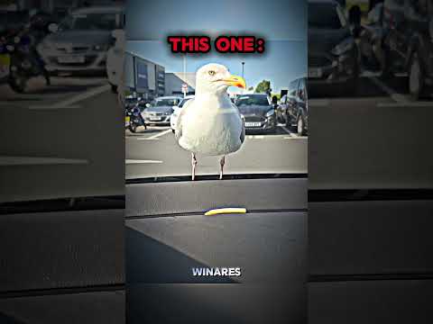 bro is built different #edit #trollface #troll