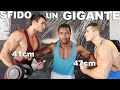 SFIDA EPICA IN SALA PESI! 1 VS 1! SFIDO UN VERO TITANO! 85KG VS 87KG! BODYBUILDER VS BODYBUILDER!