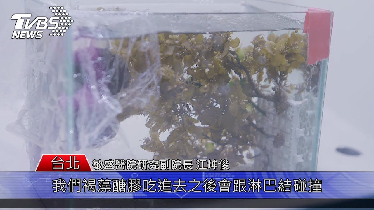 「藻」回健康 預防保健千萬不能少