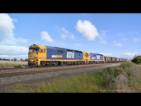 7736V Pacific National Grain Train (20/6/2020) - PoathTV Australian Railways