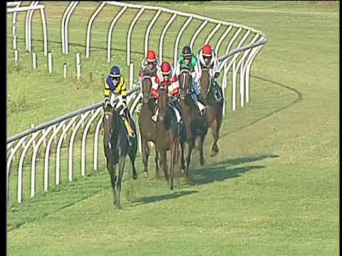 Galoppo 23/08/2017 - 3ª corsa