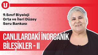 9.Sınıf Orta Ve İleri Düzey Biyoloji Seans #4 / Canlılardaki İnorganik Bileşikler-II