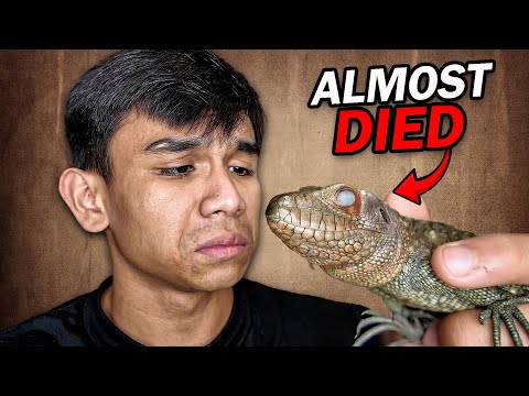 Muntik MAMATAY ang ALAGA ko sa BG HOUSE!