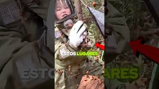 Estos lugares parecen de película