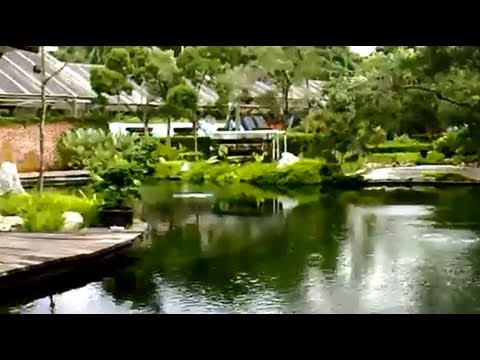 V13 14/12/08 Visiting Sentul Park Koi Centre