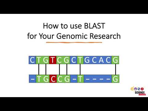 How to Use BLAST for Finding and Aligning DNA or Protein Sequences