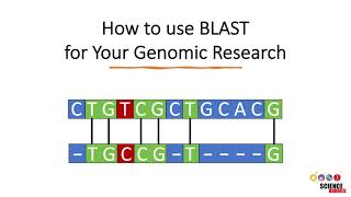 Download lagu How to Use BLAST for Finding and Aligning DNA or Protein Sequences mp3