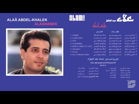 Alaa Abd El Khaleq - Yally Gmalek Dawa | علاء عبد الخالق - ياللي جمالك دوا