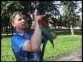 Попугай улетел в окно 2 