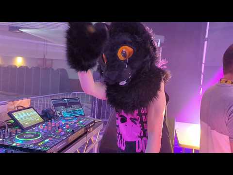 an hour of genre-funky feline mixing - hip-hop/house/disco - Confuzzled 2024 - Animalz @ CFz