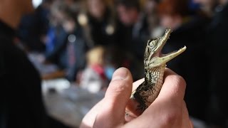Giełda Terrarystyczna & Wystawa zwierząt egzotycznych.