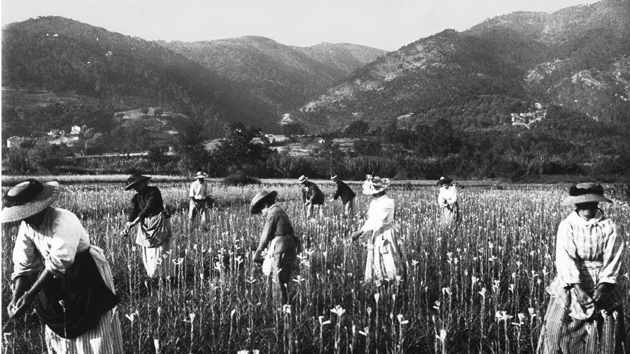 Givaudan’s 250-year odyssey