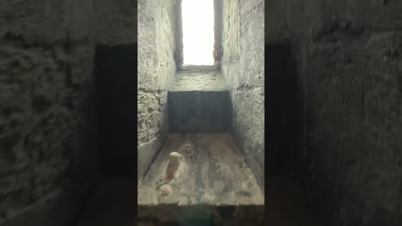 YouTube Short thumbnail