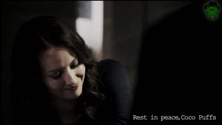 [POI]EULOGIES - for Root