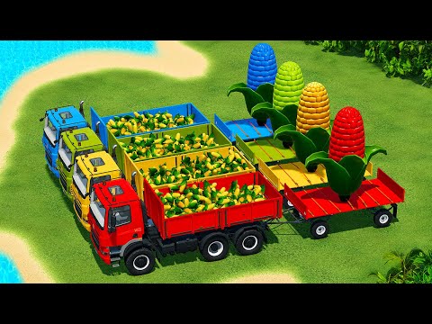 LOAD AND TRANSPORT MINI & GIANT CORN WITH RIGITRAC TRACTORS AND TATRA TRUCKS - Farming Simulator 22