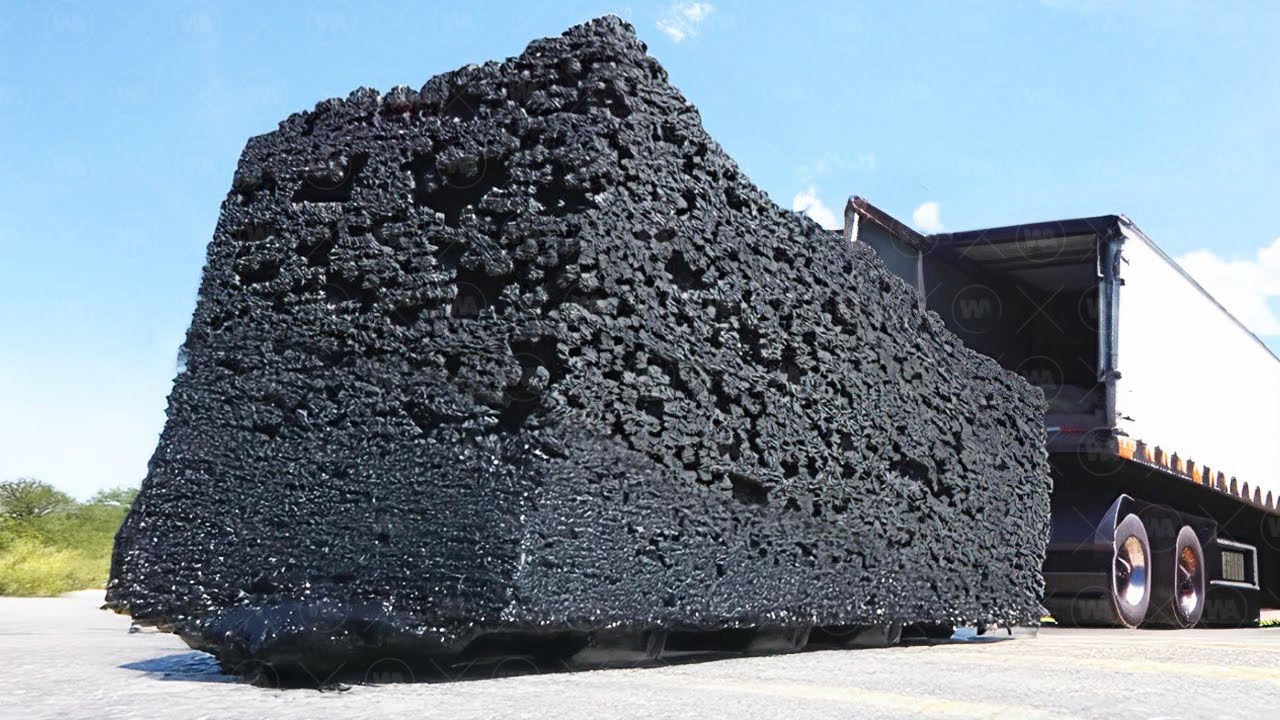 This Is Why the U.S. is Flooding Only Florida with Millions of Genetically Modified Mosquitoes