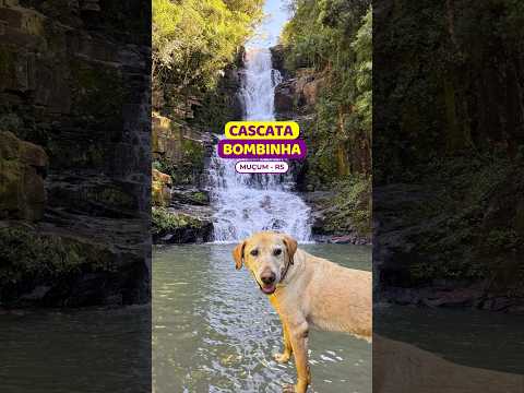 😱ATENÇAO! Única da cidade | Cascata Bombinha | Muçum