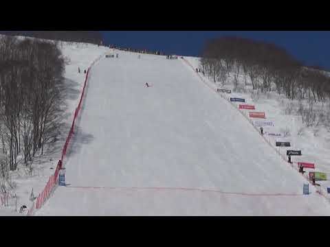 SHORT TURN 1/6 : All Japan Ski Technique Championship 2019 - Semifinal