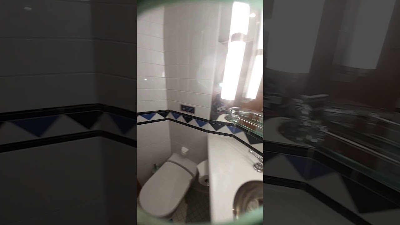 Disney Magic - Cabin 6506 - Video 2
