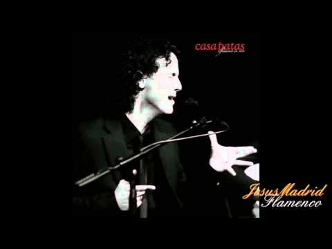 Jesus Corbacho por bulerias 2011