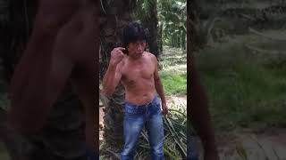 Download lagu Rambo Aceh mp3