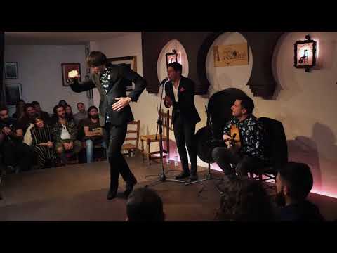 David Palomar, Riki Rivera y El Junco en El Almíbar