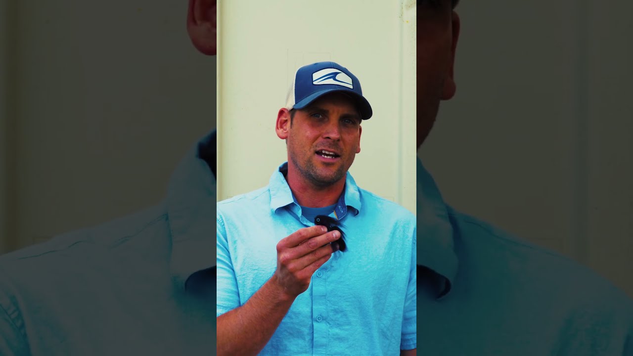 New Streamers for Fall /