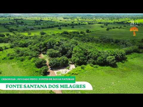 VOCÊ PRECISA VER ISSO EM CRISÓPOLIS! Fontes de Águas Naturais  #crisopolis