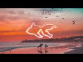 GoldFish Feat Xavier Rudd - We Deserve To Dream - Official Visualizer