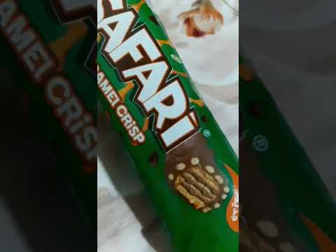 SAFARI CHOCOLATE #asmr #SHORTS