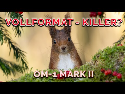 Micro Four Thirds vs. Full Frame - Can the OM-1 Mark II really compete?