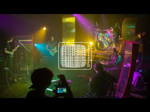 Post Animal - Levitation Sessions (FULL SET)