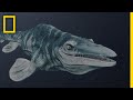 Mosasaurs 101 National Geographic