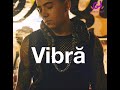 Andy Rivera - Vibora (vibră) în România Andy Rivera - Vibora (vibră) în România