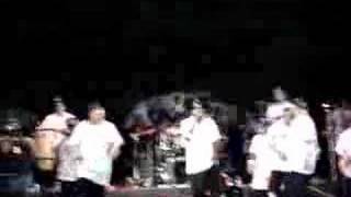 Kumbia Kings en Mérida!!! Reggae cumbia
