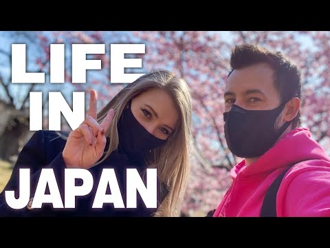 在日本度過72個小時｜櫻花的雪 (Spending 72 Hours in Japan | Snow to Sakura)