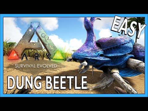 How To Tame A Dung Beetle In Ark Survival Evolved
