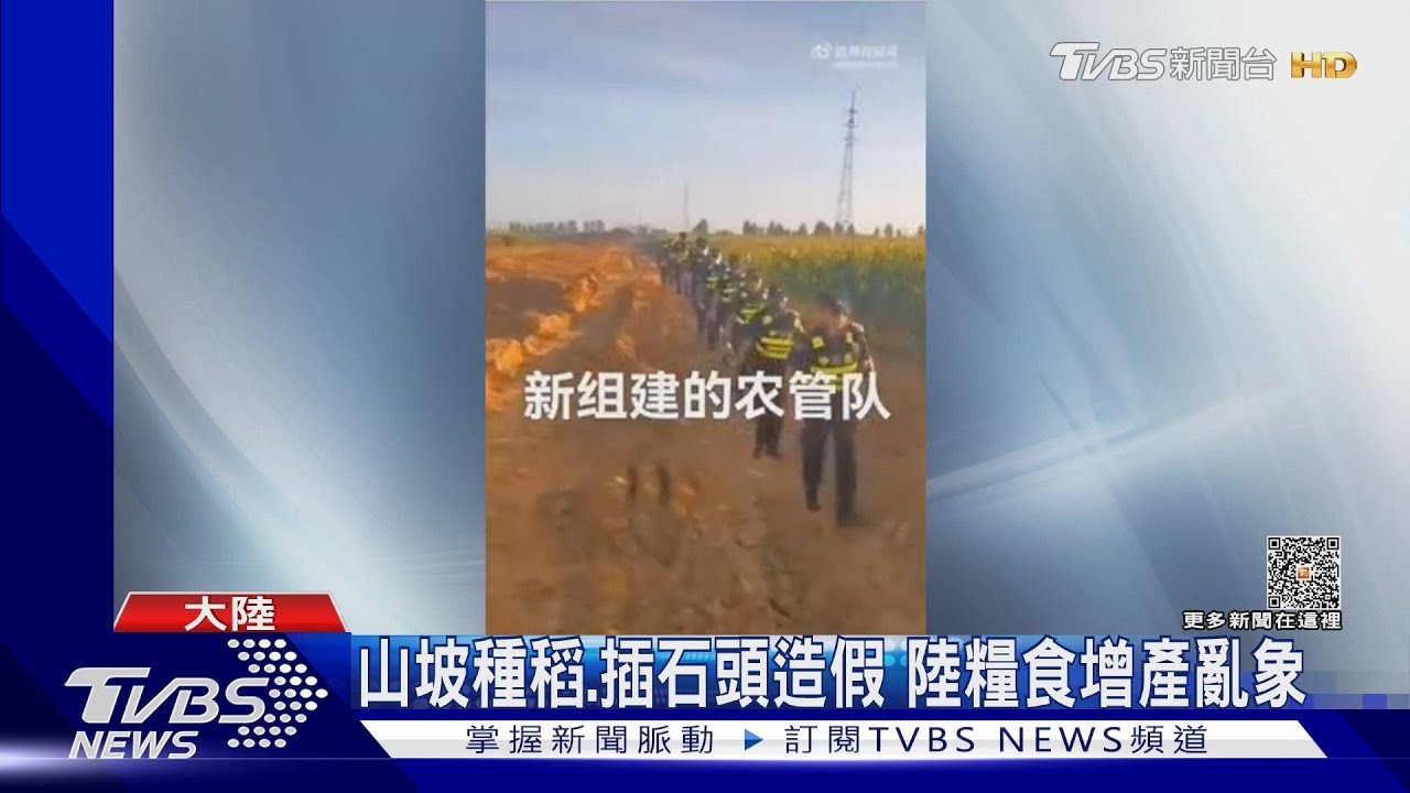 亂抓雞鴨強拔蔬菜　大陸「農管隊」粗暴執法惹民怨