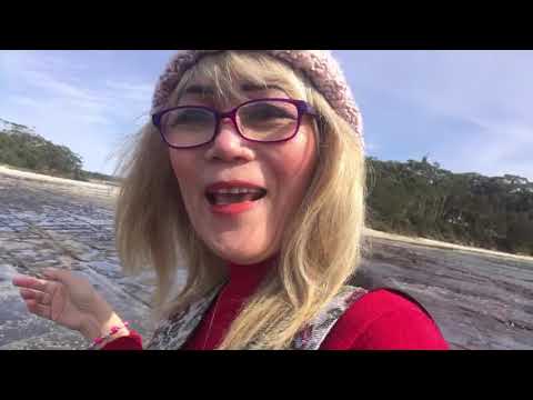 MJRyerson Survival Instincts