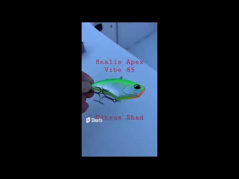 Realis Apex Vibe F85 #shorts