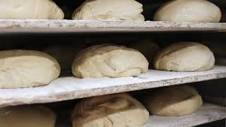 Nicolo’s Italian Bakery & Deli - Montclair, New Jersey 