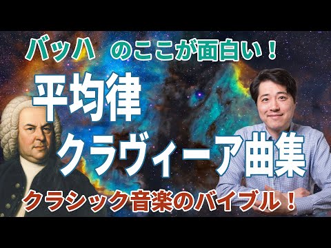 シュロスベルク (フォルバッハ)について詳しく解説