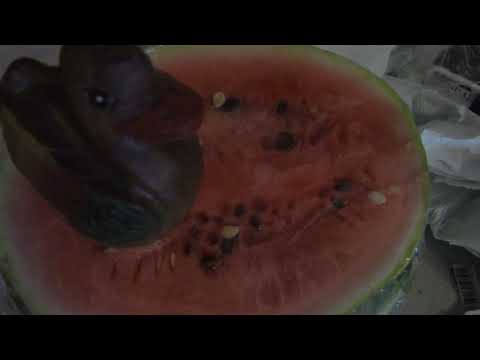 dr EO feat PuPart - Tyhjad lubadused