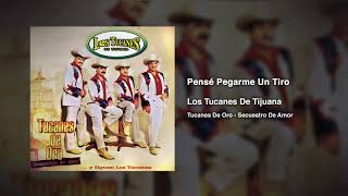 Pensé Pegarme Un Tiro – Los Tucanes De Tijuana (Audio Oficial)