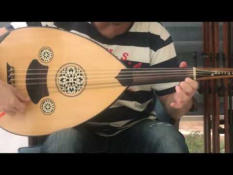 Ud Taksimi (Örnekli-Buselik )