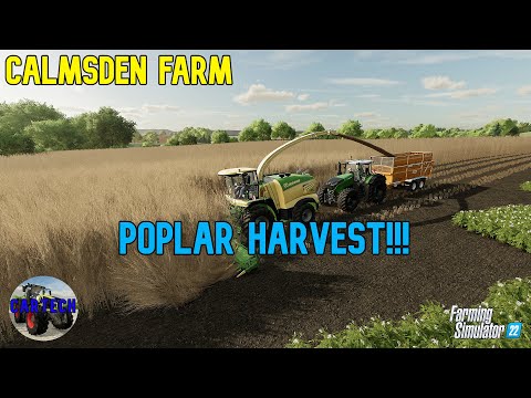 POPLAR HARVEST!! Calmsden Farm Ep 60 - Farming Simulator 22