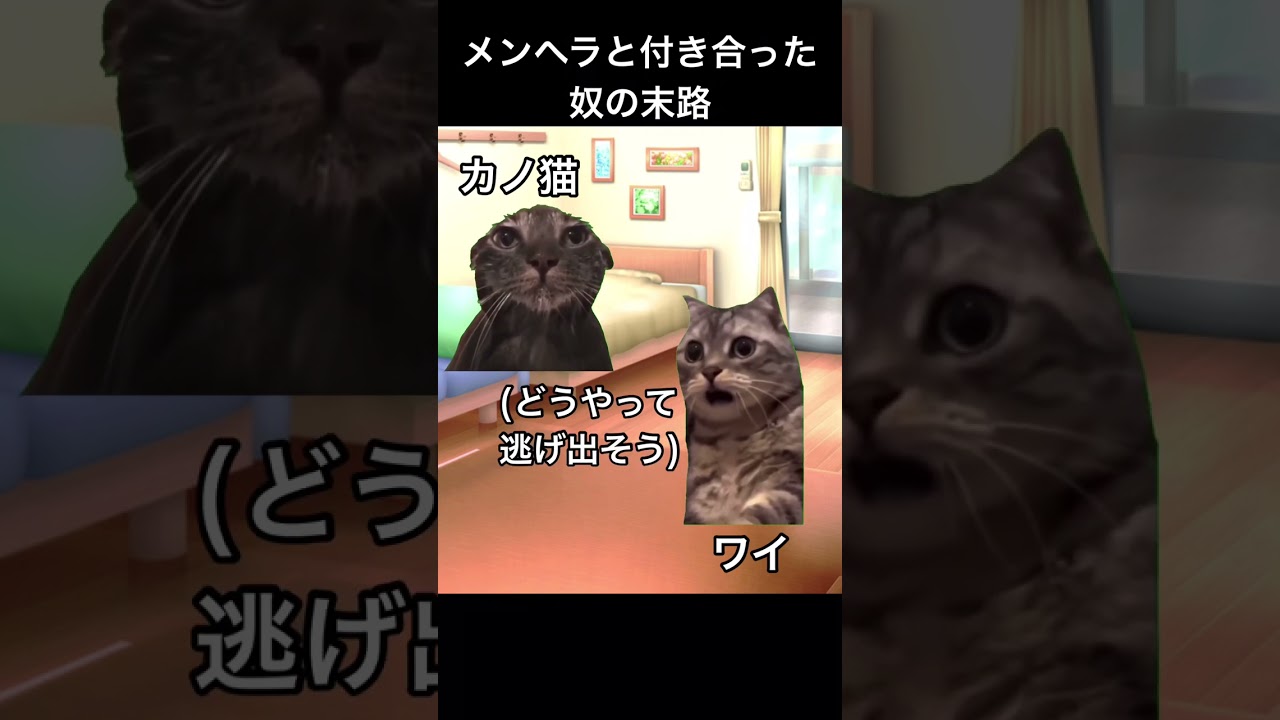 メンヘラと付き合った奴の末路【猫ミーム】【猫マニ】【猫meme】