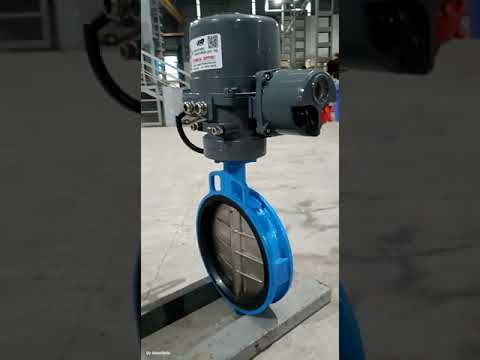 Electrical Actuator Operated Butterfly Valve